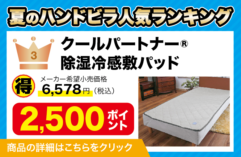 ランディングページ_クールパートナー_3番