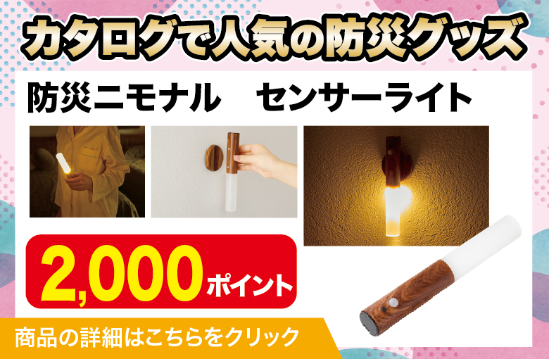 ランディングページ用スライダー_防災グッズ_センサーライト