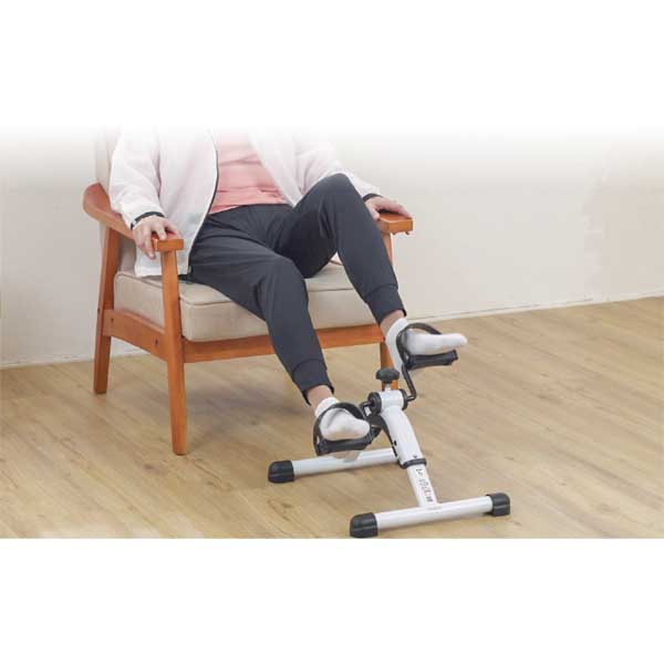 アルインコ サイクルン