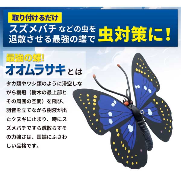 最強の蝶！オオムラサキくん